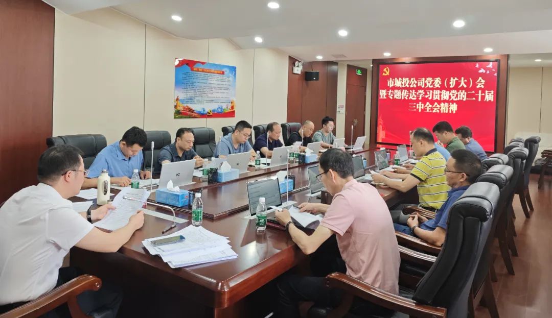 市城投公司召開黨委（擴大）會議專題傳達學(xué)習(xí)貫徹黨的二十屆三中全會精神